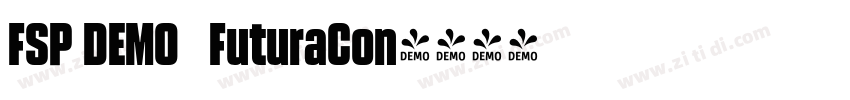 FSP DEMO   FuturaCon字体转换